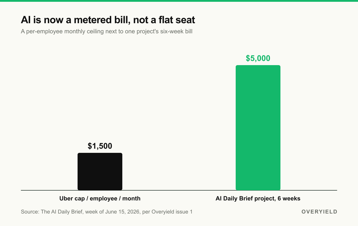Metered AI: a per-employee cap next to one project’s runaway bill